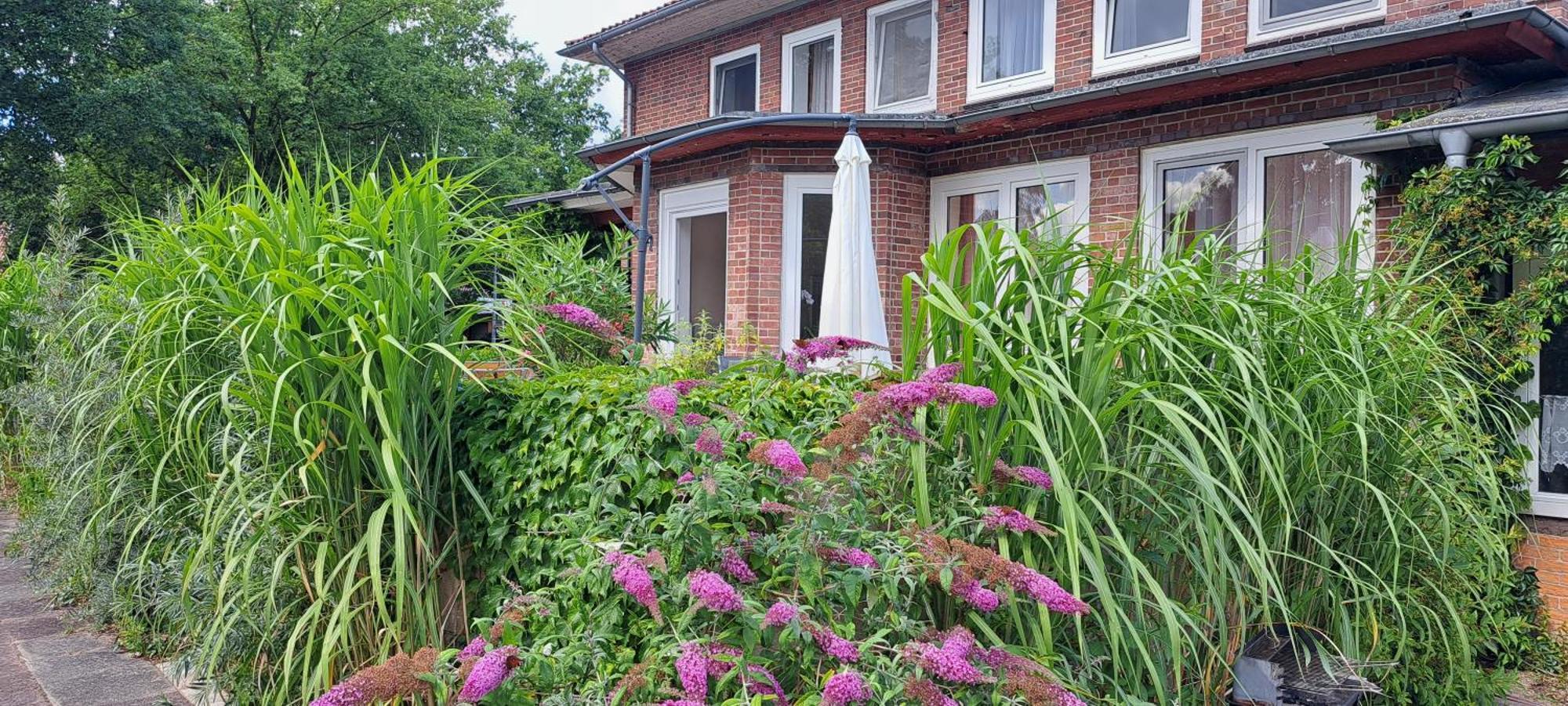 Schillers Landhaus Neu Darchau Екстериор снимка